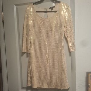 Express Elegant Sequin Dress in Cream